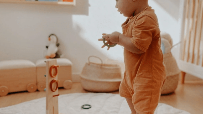 Teaching Math with Toys: A Playful Path to Arithmetic Mastery
