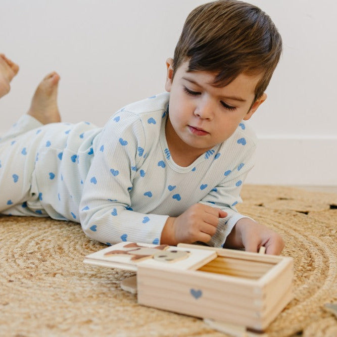 Montessori Toys
