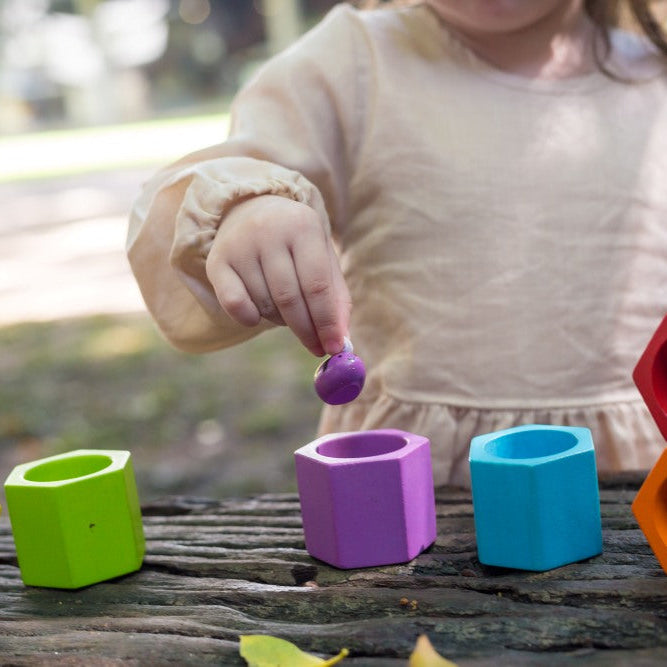 Montessori Toys