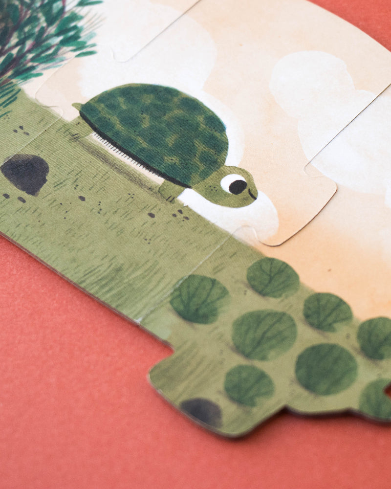 Children's craft of a turtle made from paper with a pink background