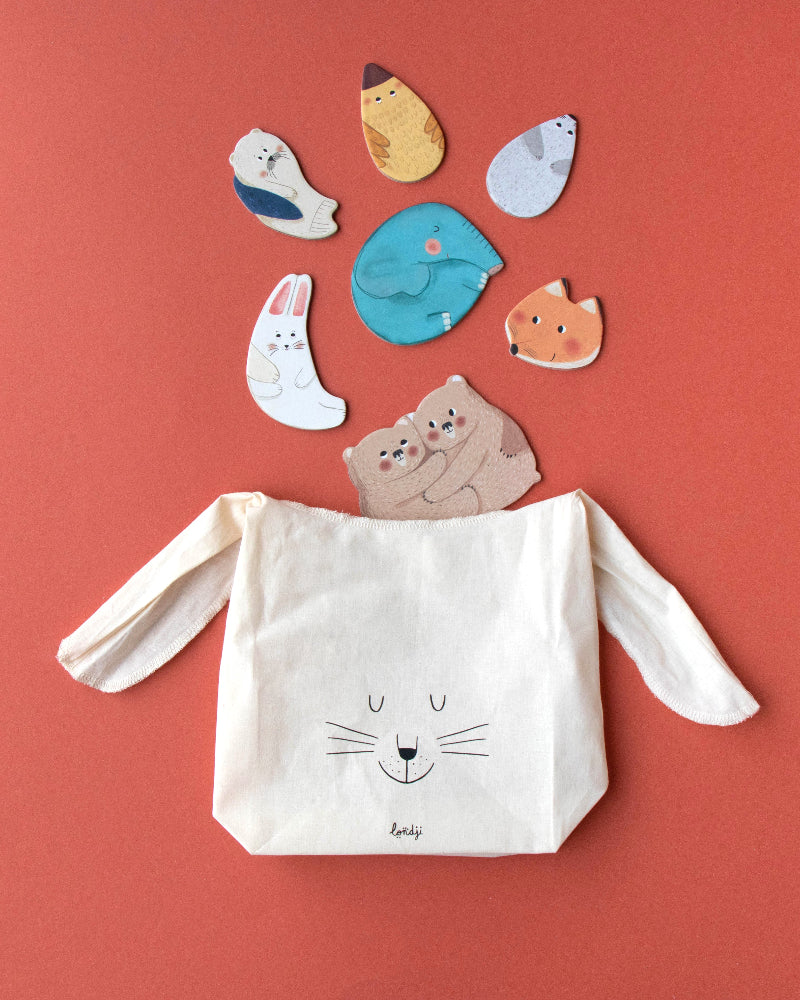 Canvas bag with cat face design and puzzles on a red background