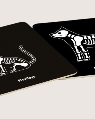 Two black cards with white animal skeletons on a light gray background