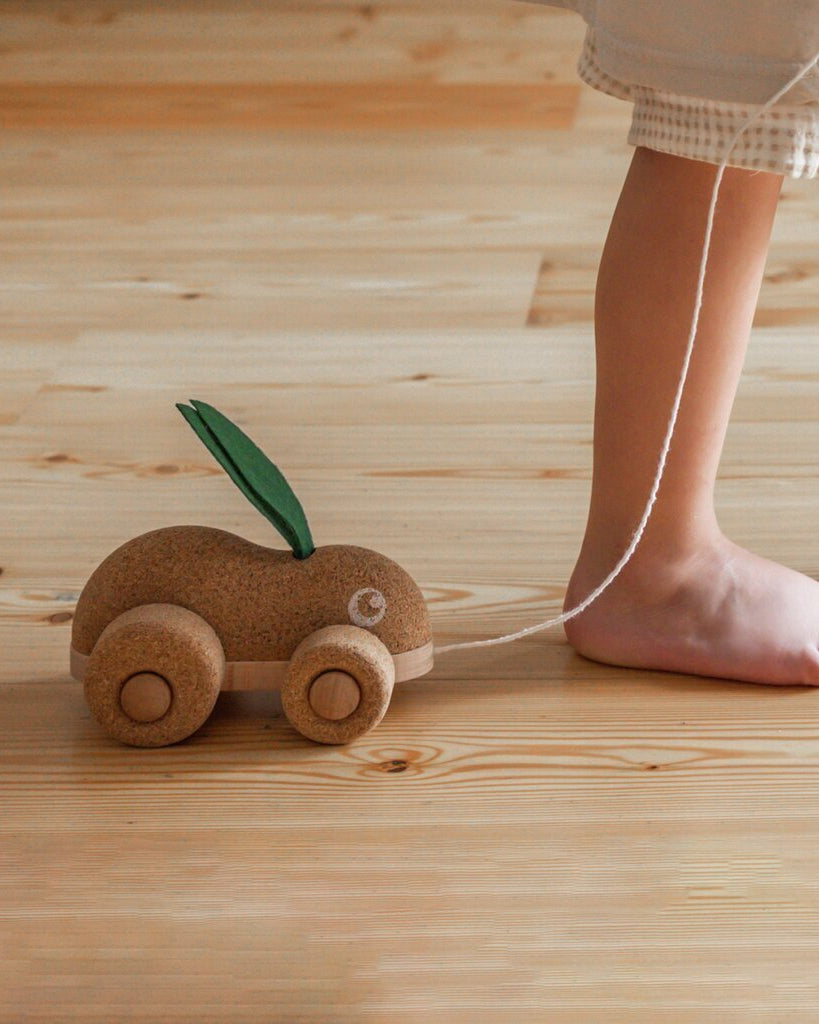 Push & Pull Bunny