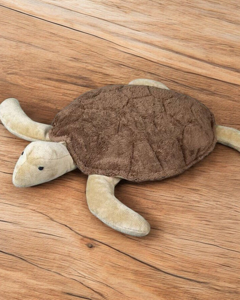 Senger Brown Turtle