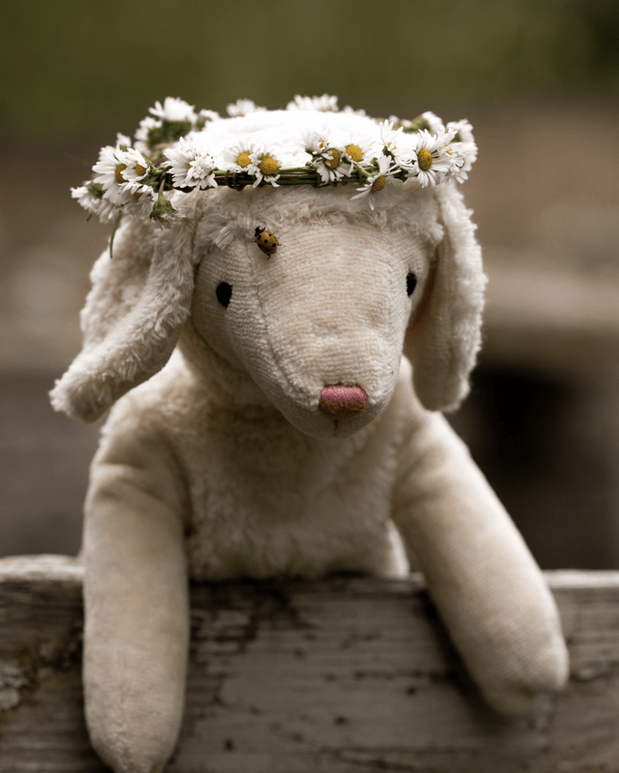 GOTS-certified organic cotton white sheep toy from Senger Naturwelt's sustainable collection