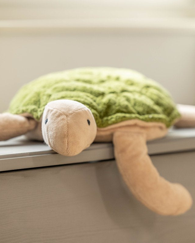 Senger Green Turtle