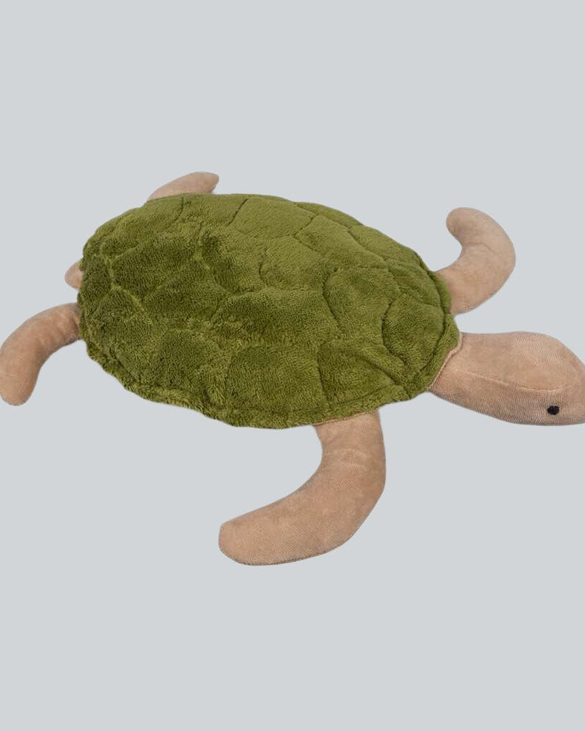 Senger Green Turtle