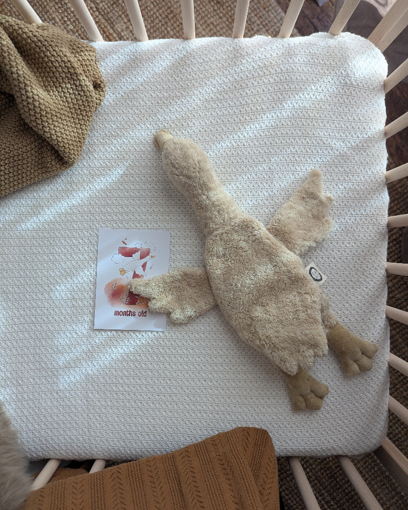 European handcrafted cream goose showing quality stitching and natural cotton filling