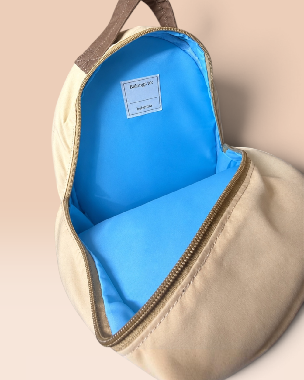 The Little Carrier Interior