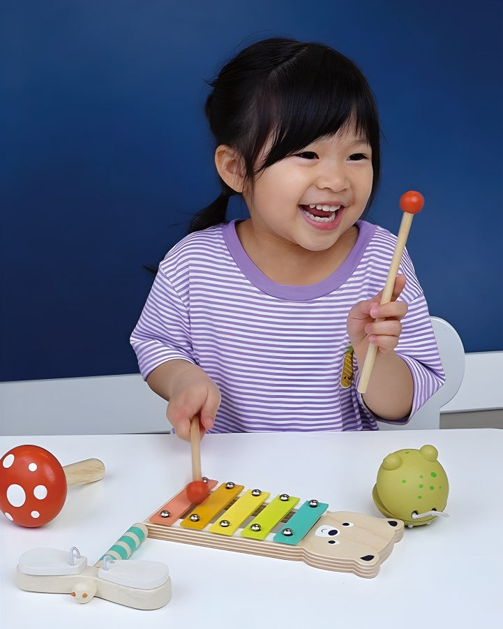 Complete Mentari Woodland Music Set showing all four instruments together