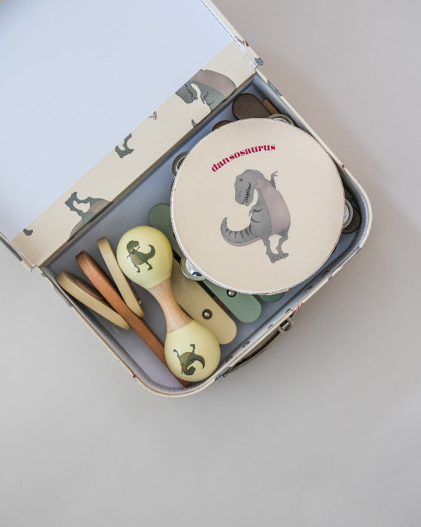 Dino print musical instrument collection with storage box and drumsticks included