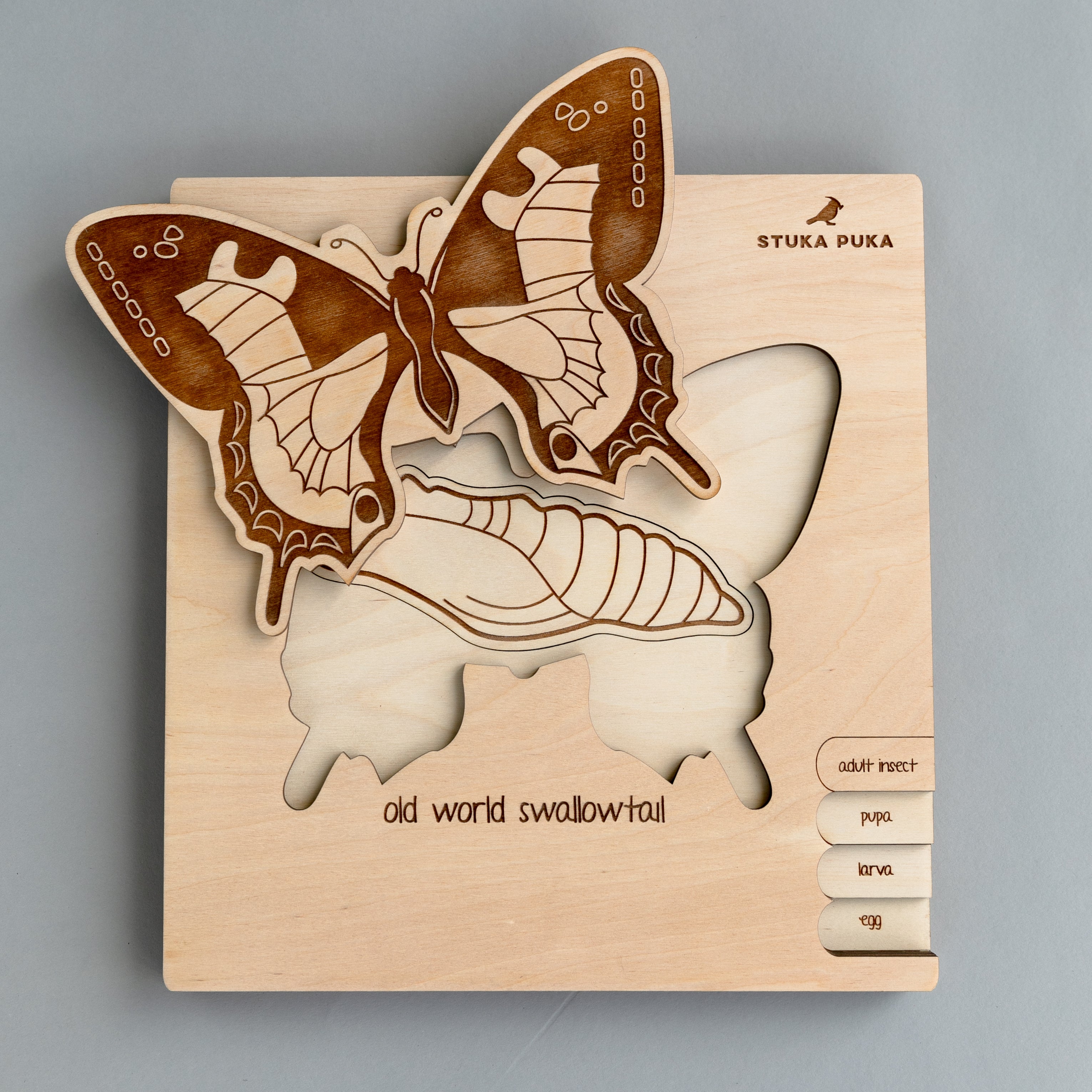 Butterfly Life Cycle Wooden Puzzle