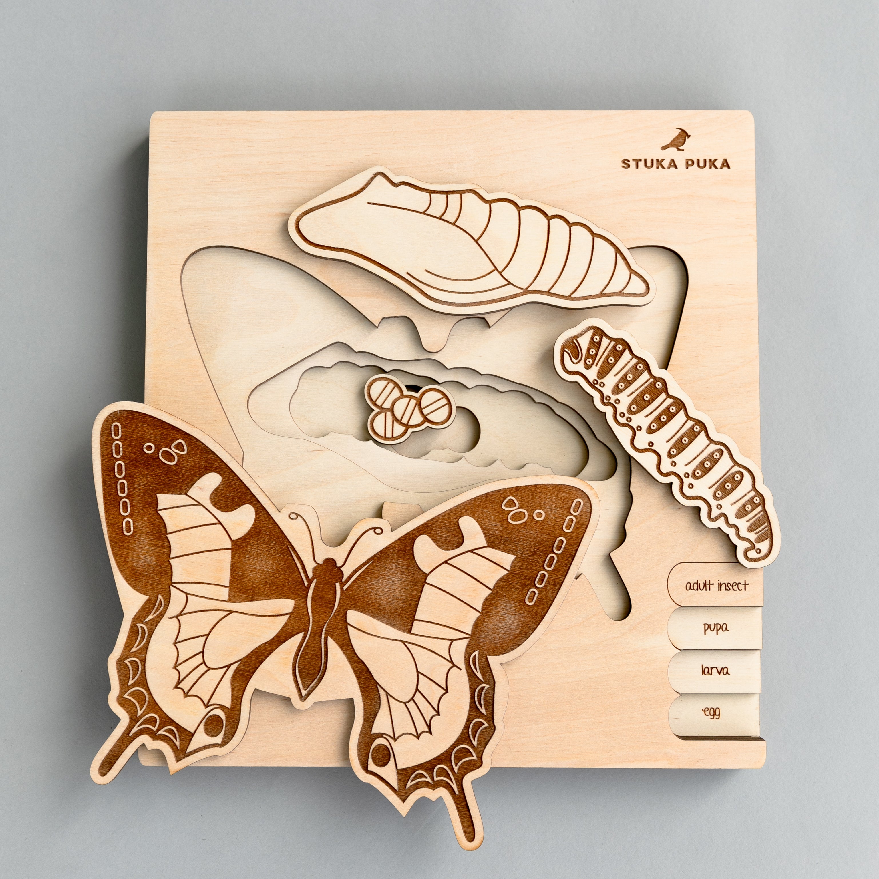 Butterfly Life Cycle Wooden Puzzle