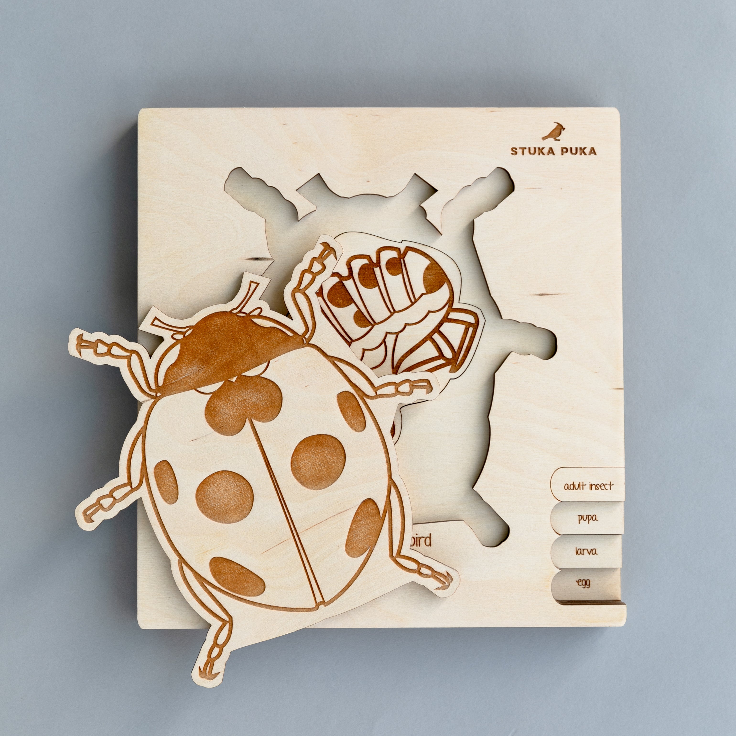 Ladybug Life Cycle Wooden Puzzle