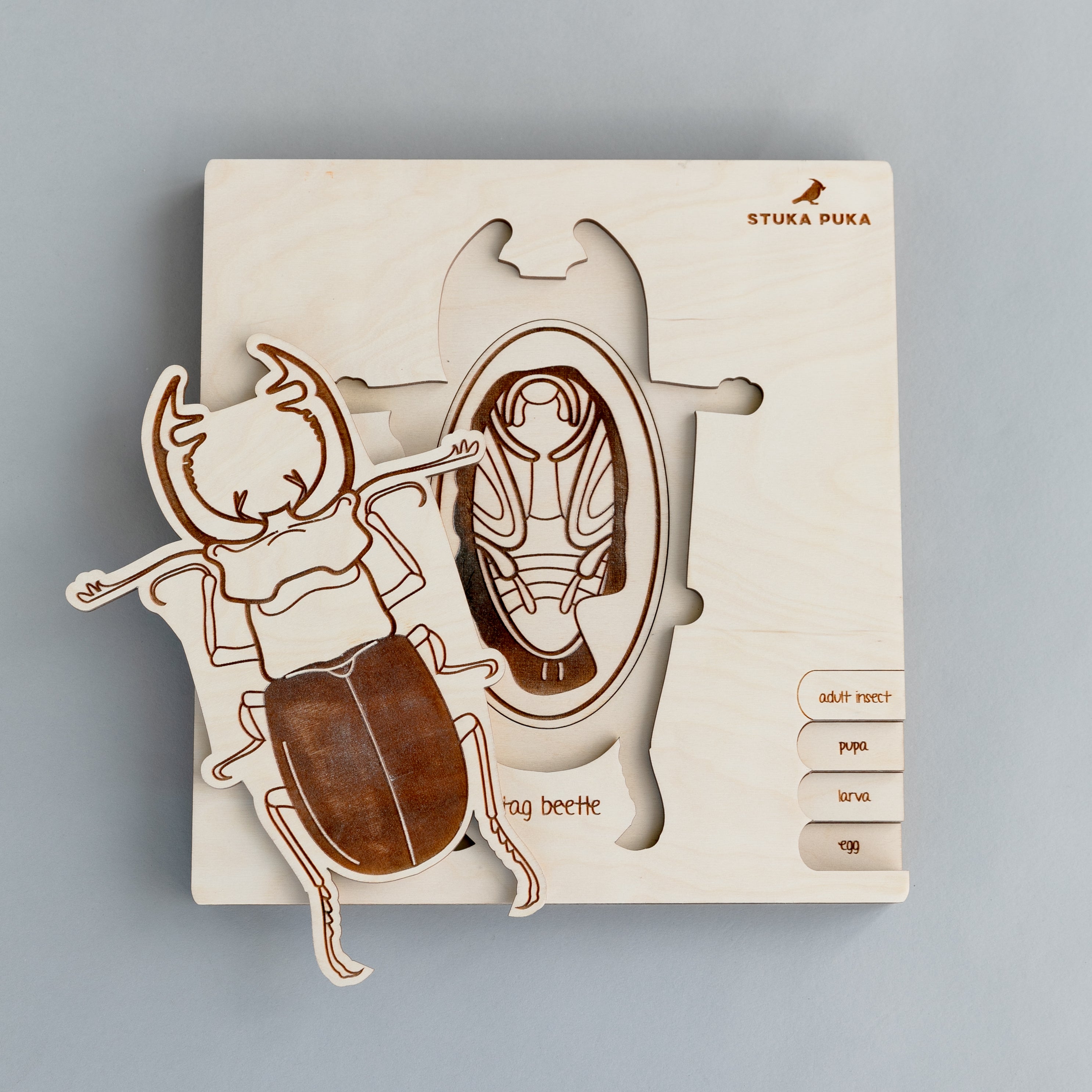Stag Beetle Life Cycle Wooden Puzzle