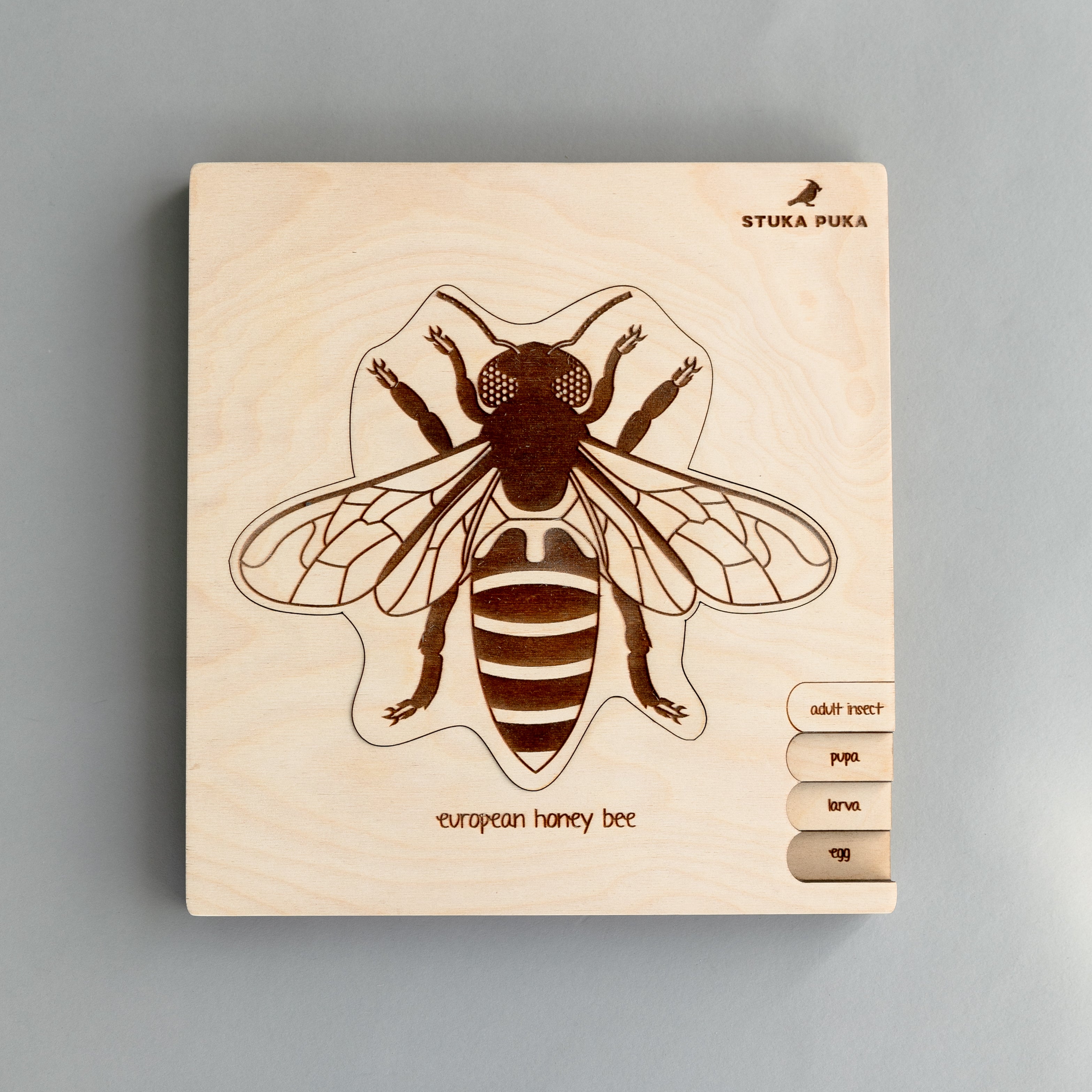 Honey Bee Life Cycle Wooden Puzzle