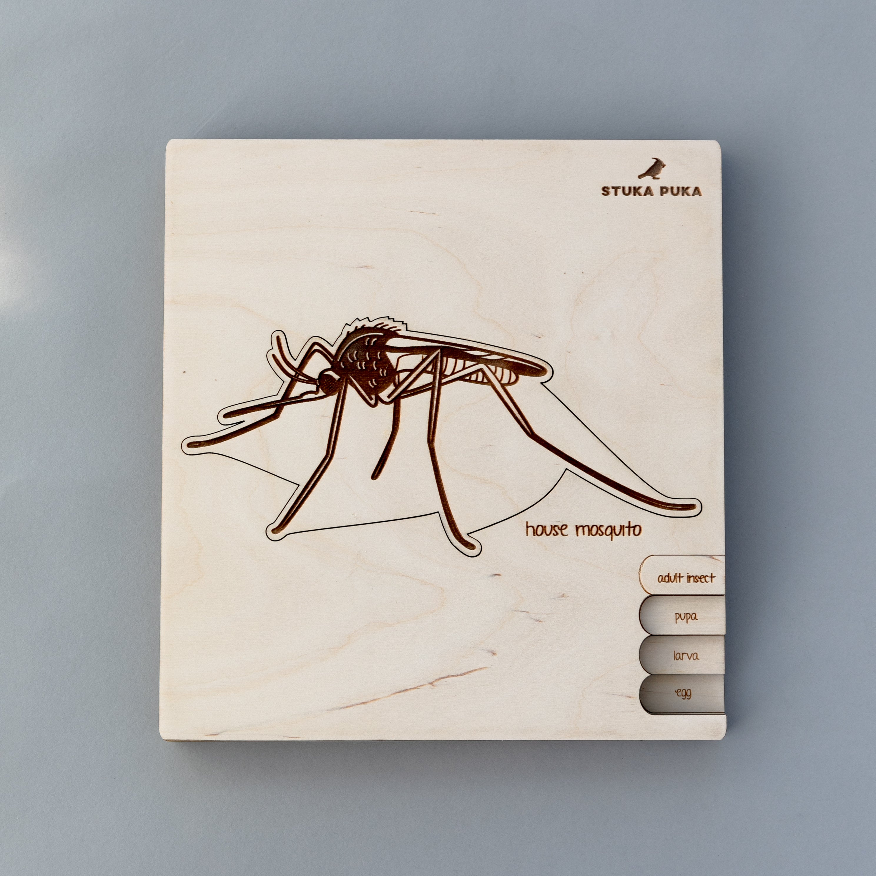 Mosquito Life Cycle Wooden Puzzle