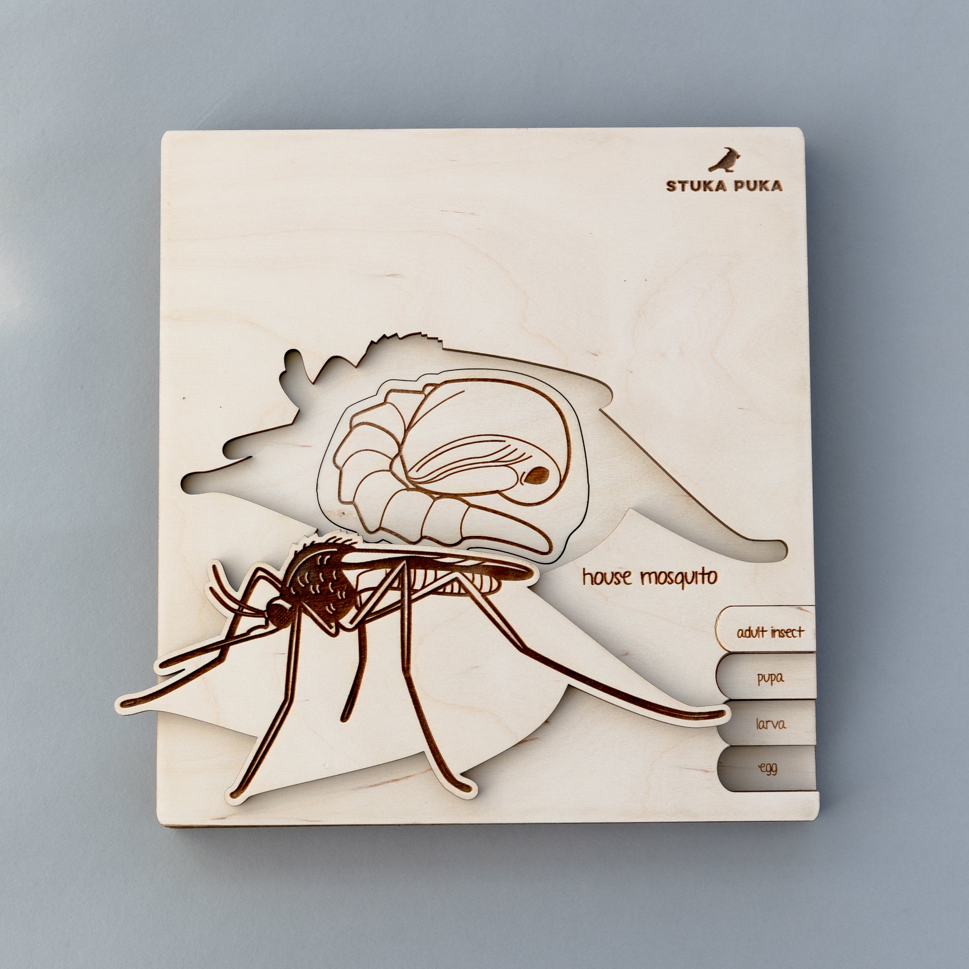 Mosquito Life Cycle Wooden Puzzle
