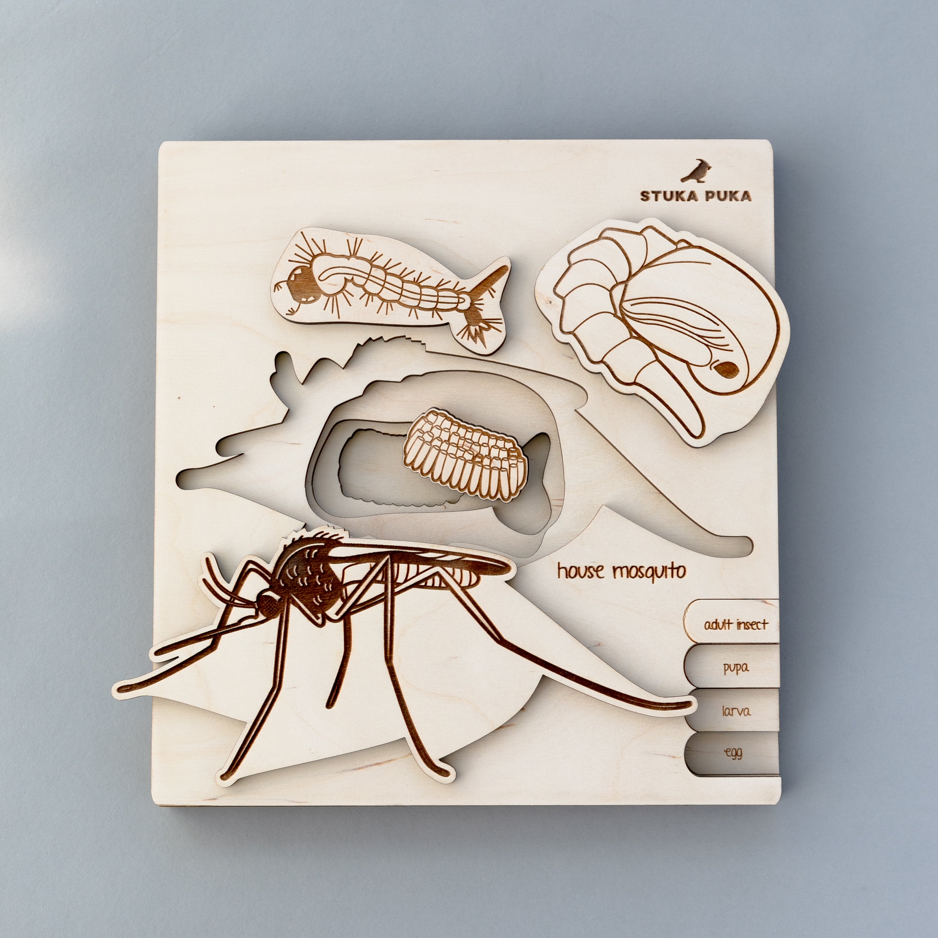 Mosquito Life Cycle Wooden Puzzle