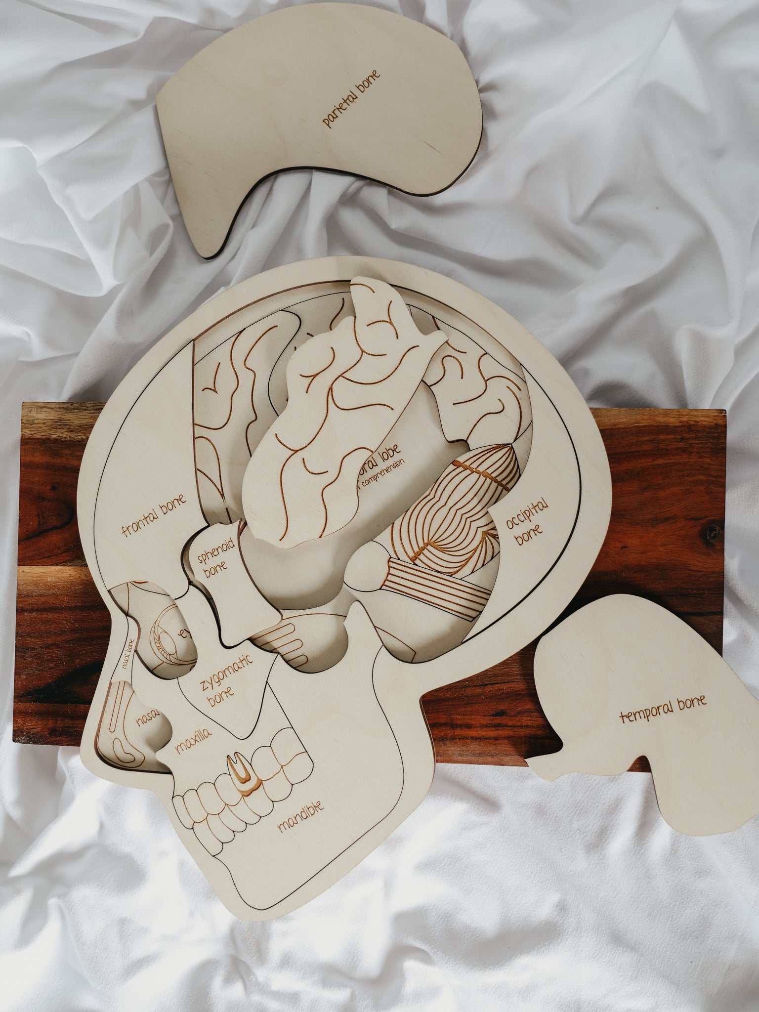 Use Your Head Wooden Puzzle