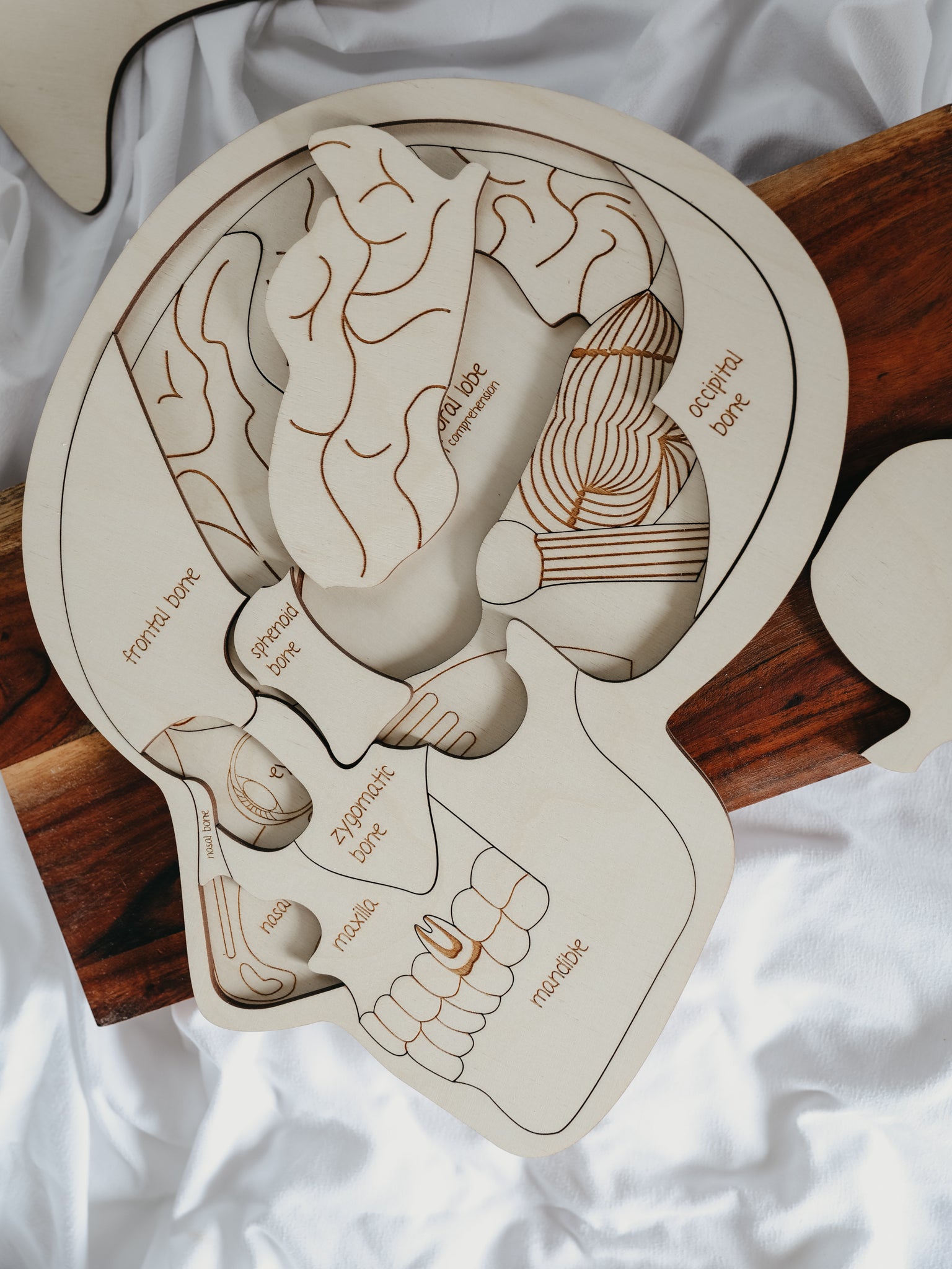 Use Your Head Wooden Puzzle