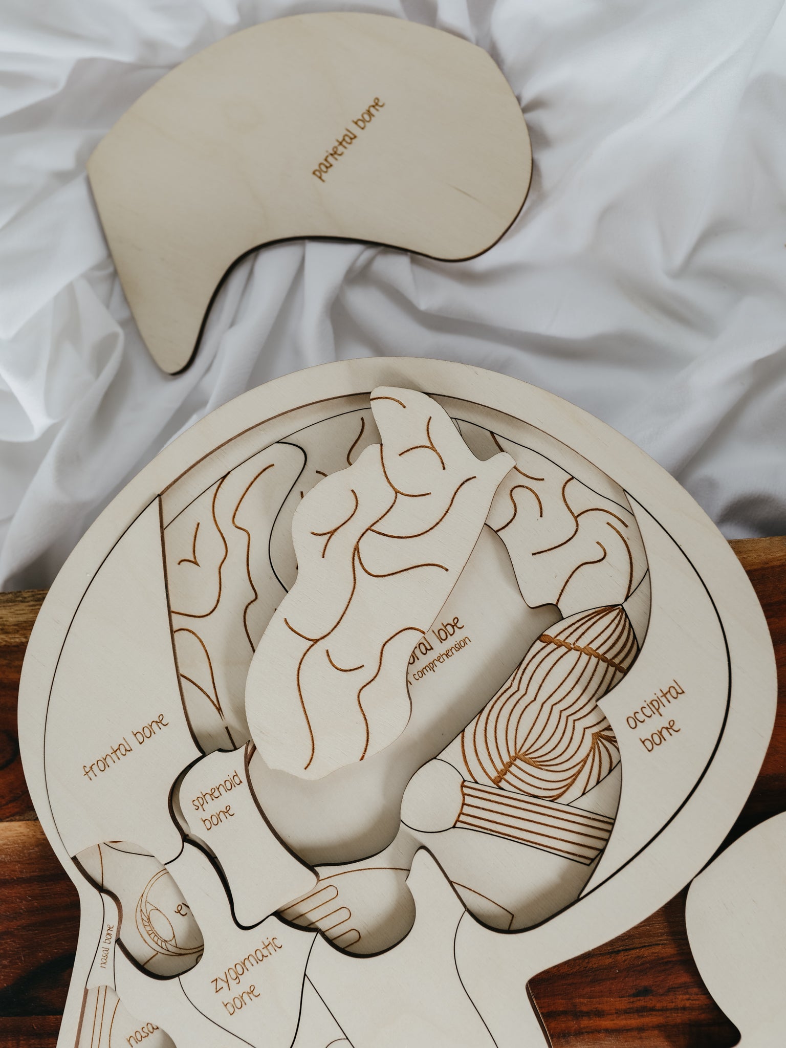 Use Your Head Wooden Puzzle