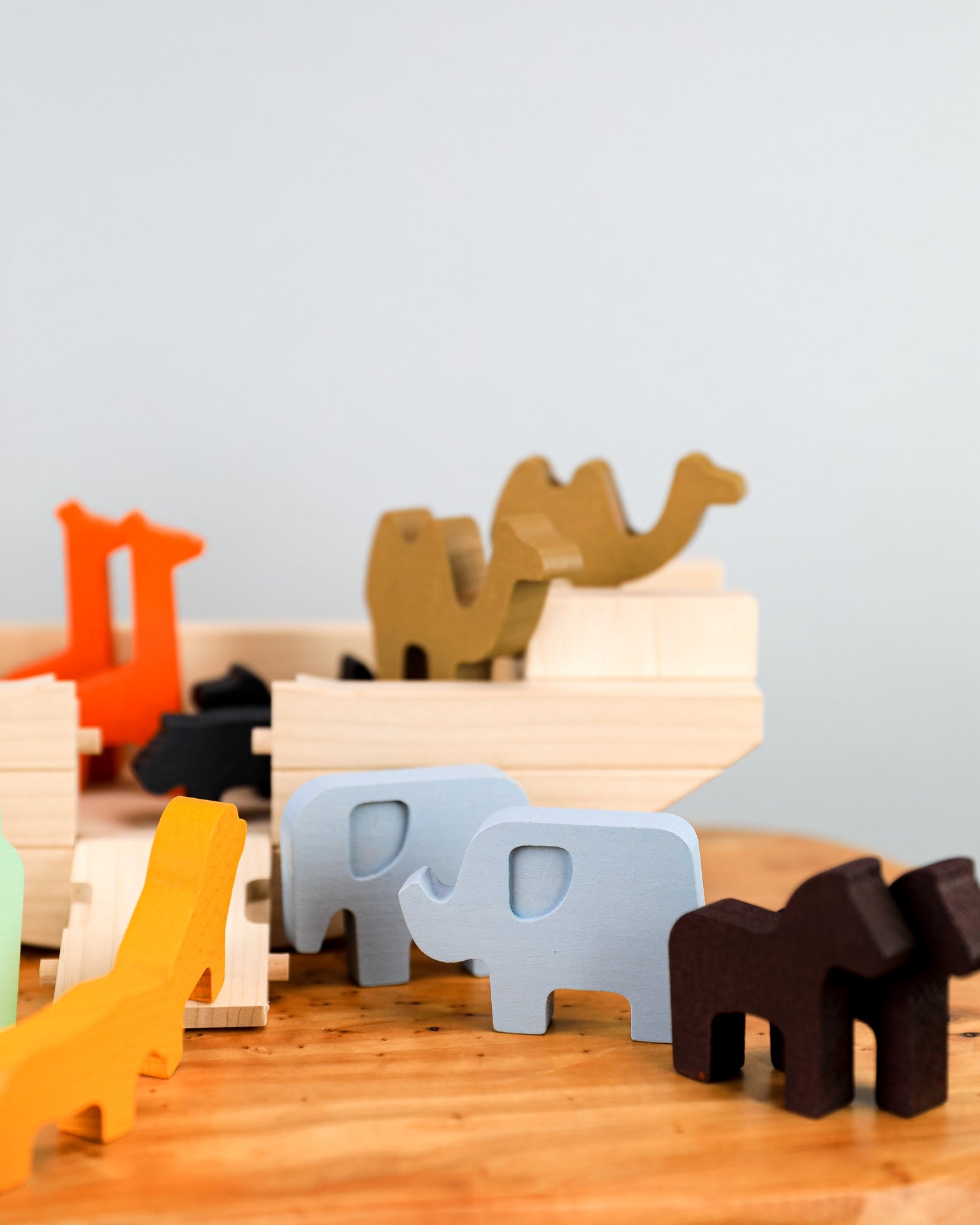 BAJO | Noah's Ark