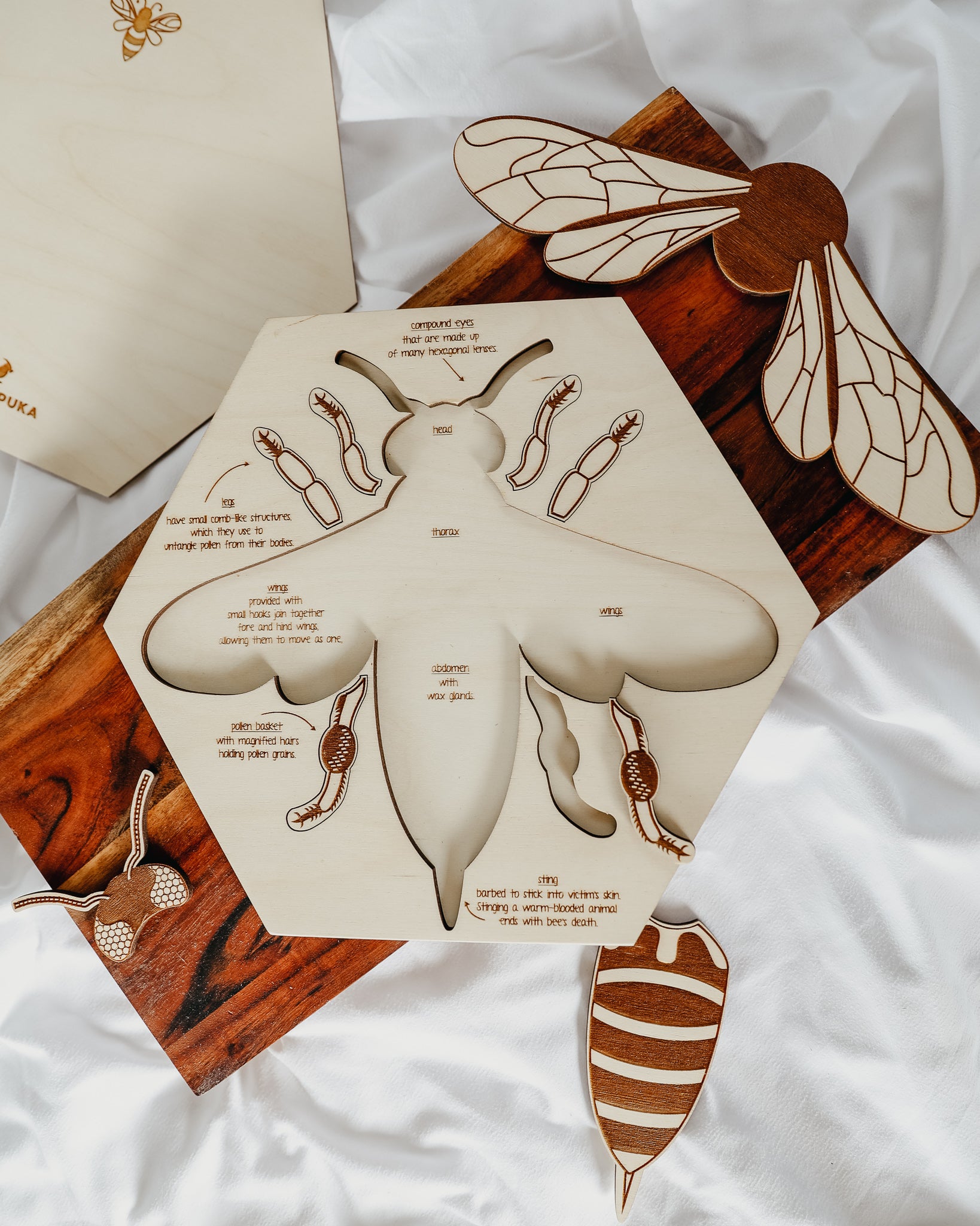 Bee Anatomy Wooden Puzzle