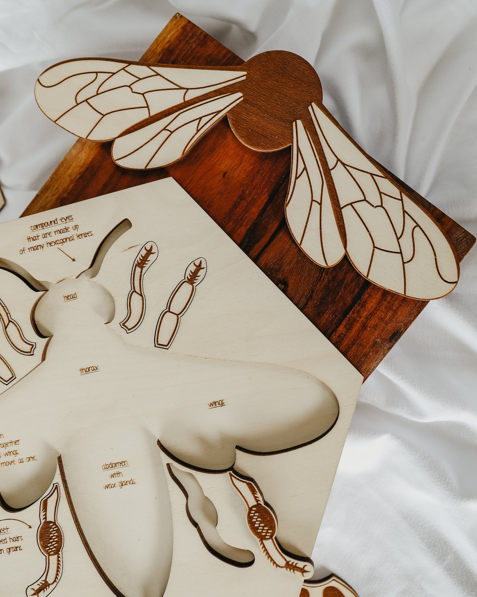 Bee Anatomy Wooden Puzzle