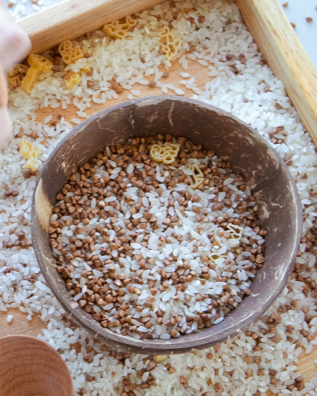 Coconut Bowl