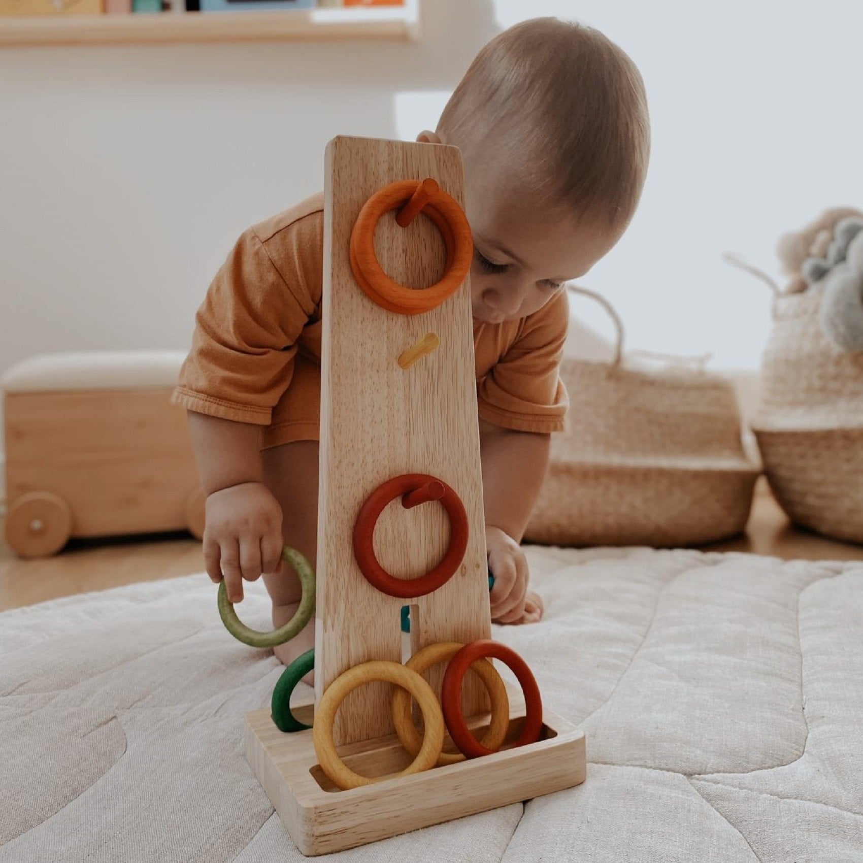 Color Sorting Ring Toss Game