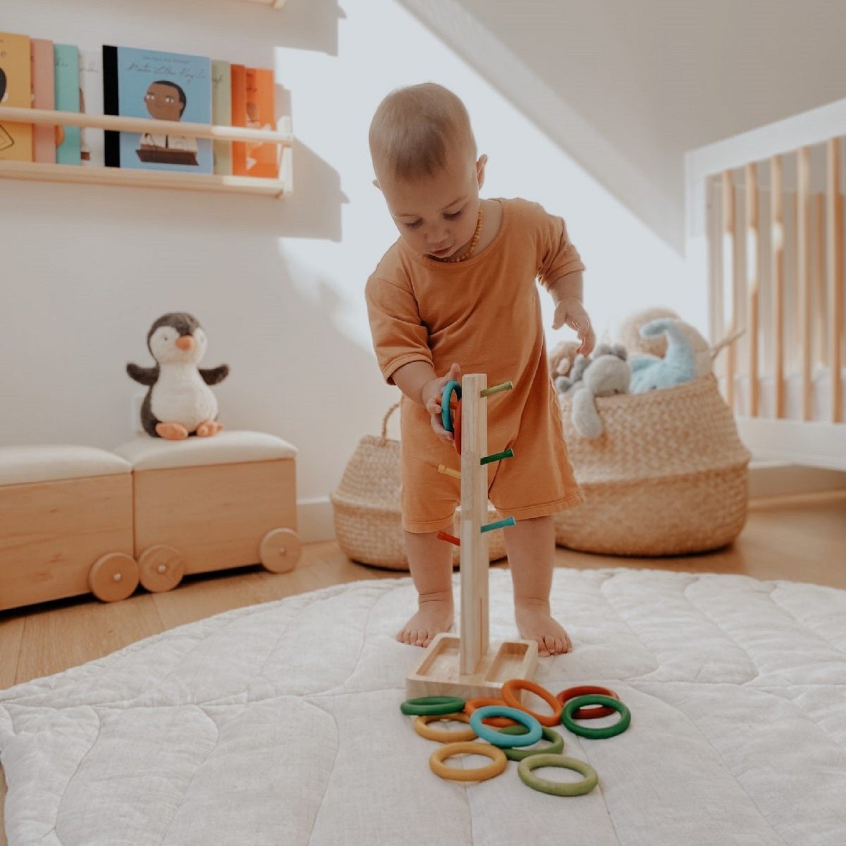 Color Sorting Ring Toss Game