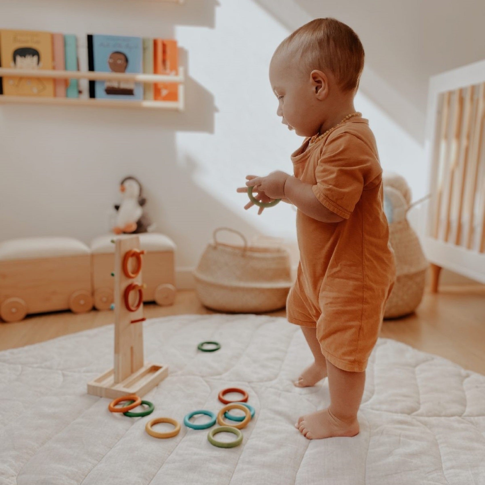 Color Sorting Ring Toss Game