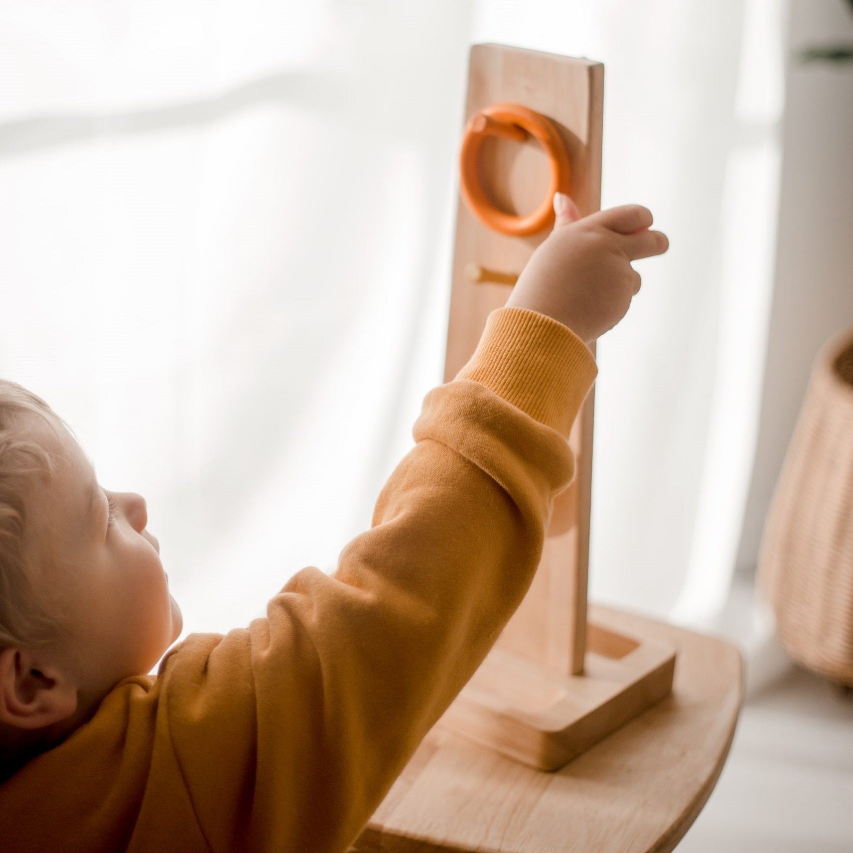 Color Sorting Ring Toss Game