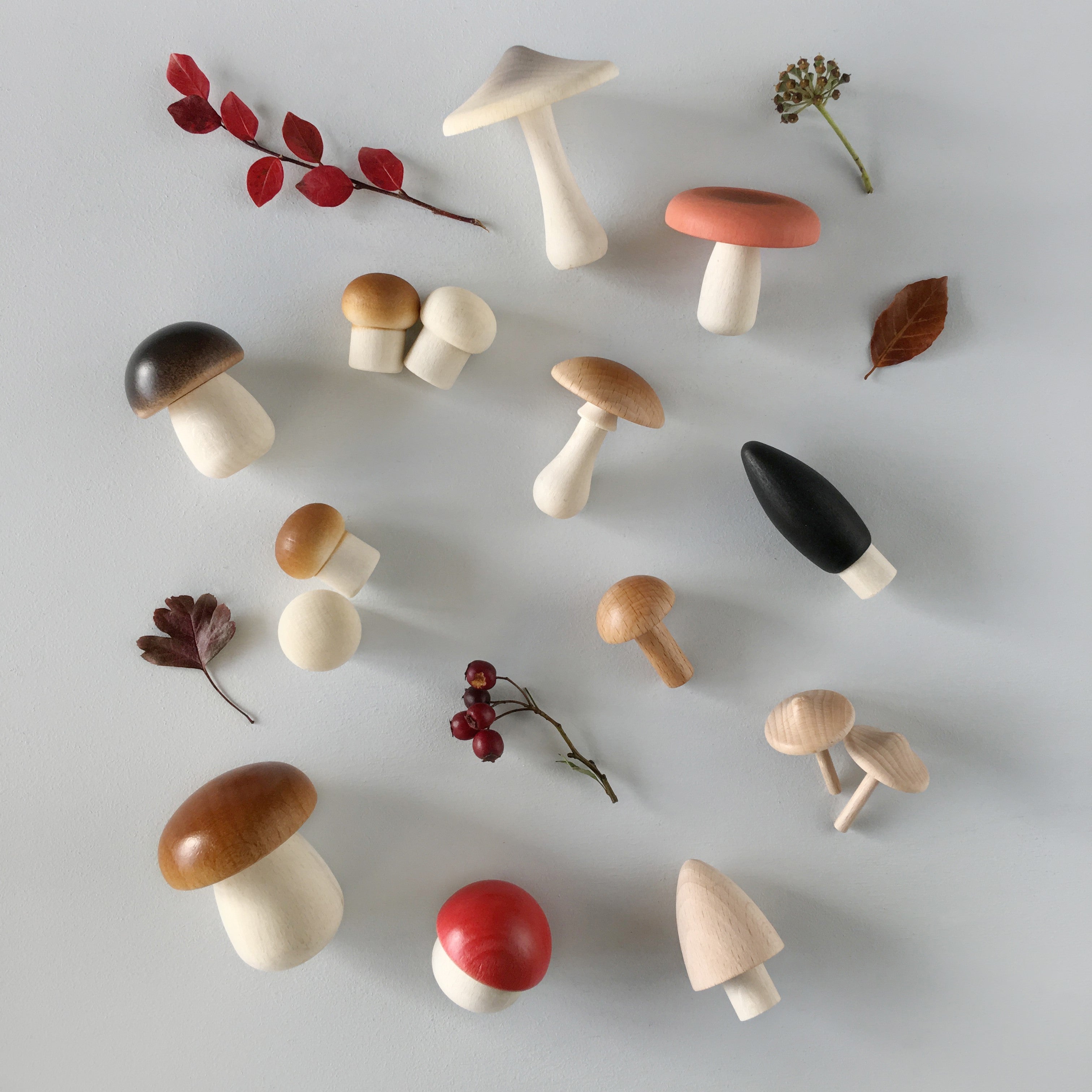 Forest Mushrooms Basket