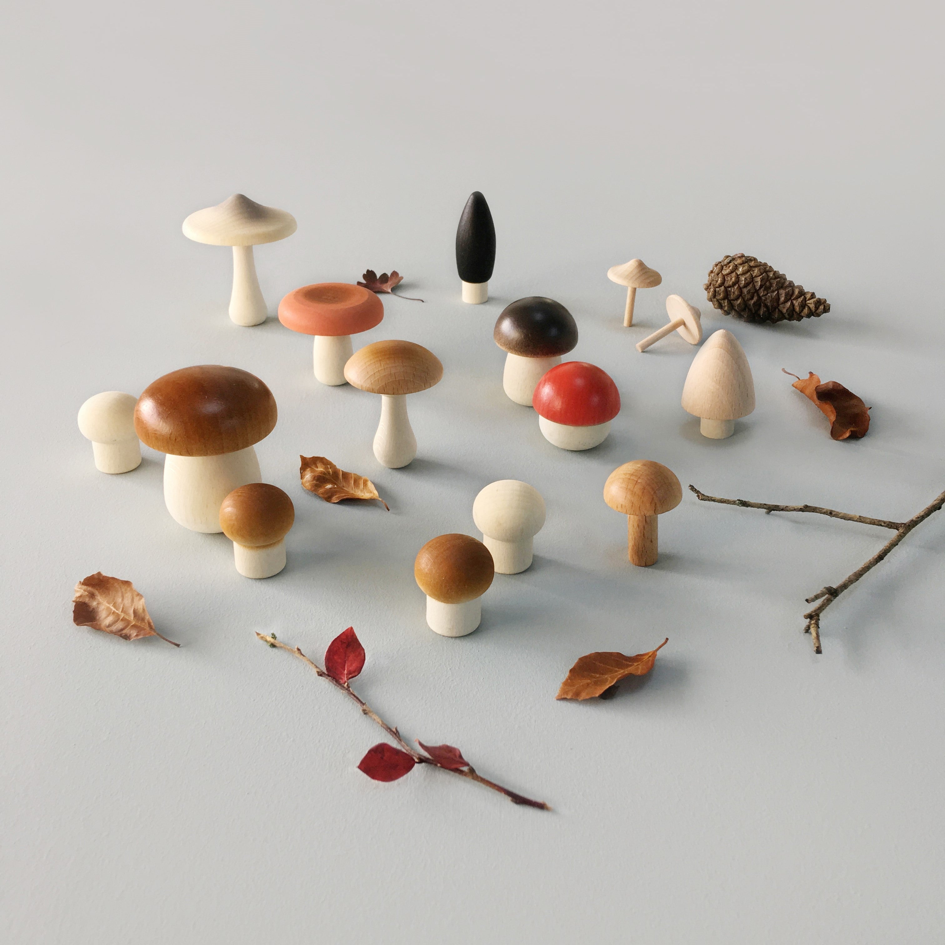 Forest Mushrooms Basket
