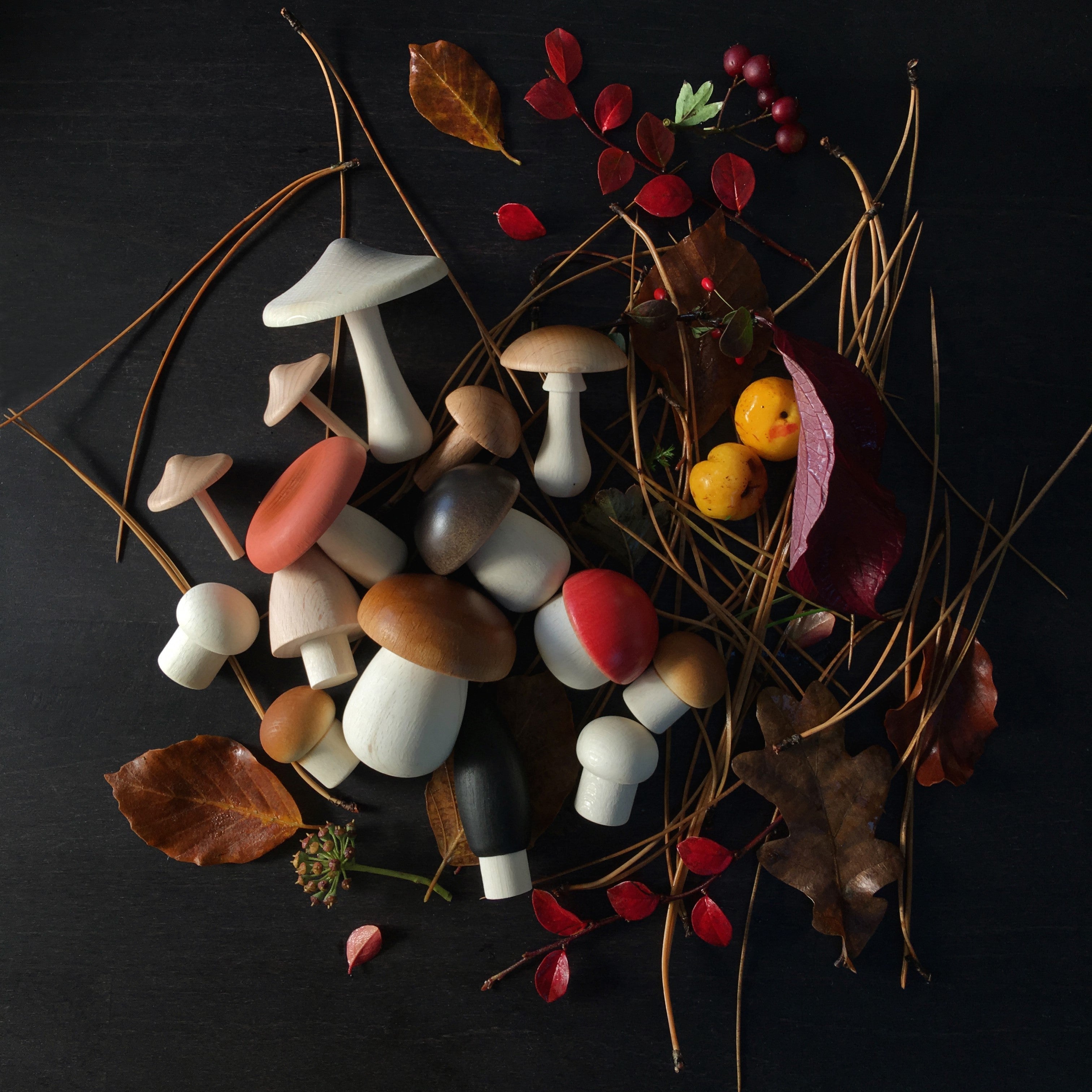 Forest Mushrooms Basket