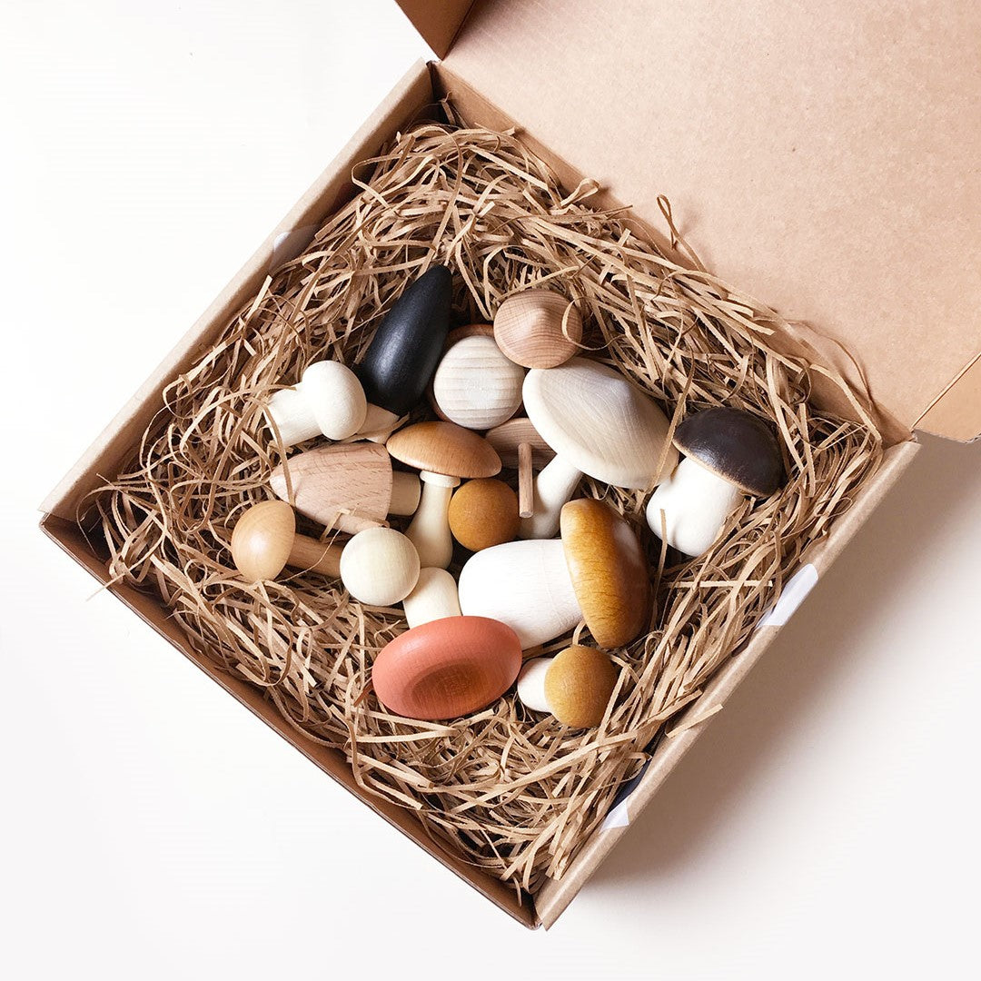 Forest Mushrooms in a Box by Moon Picnic
