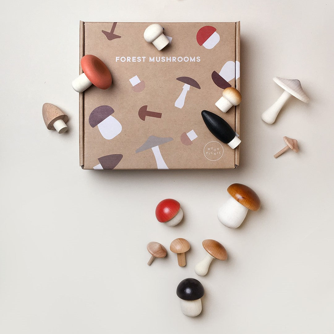 Forest Mushrooms in a Box by Moon Picnic