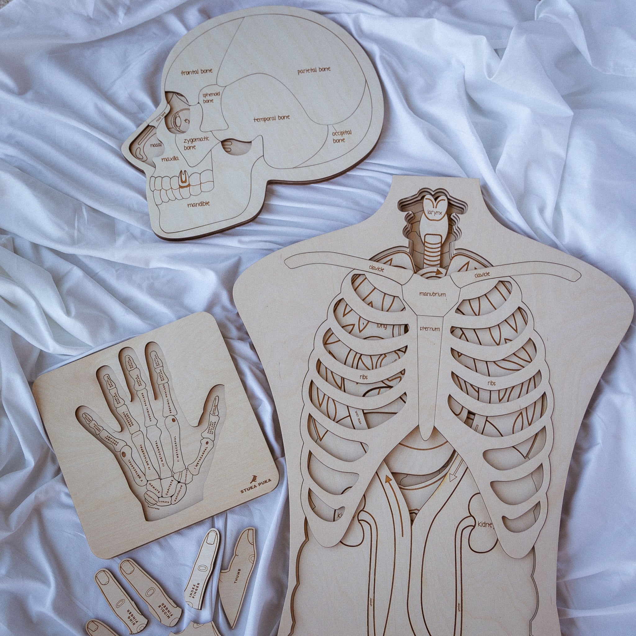 Hand Anatomy Wooden Puzzle