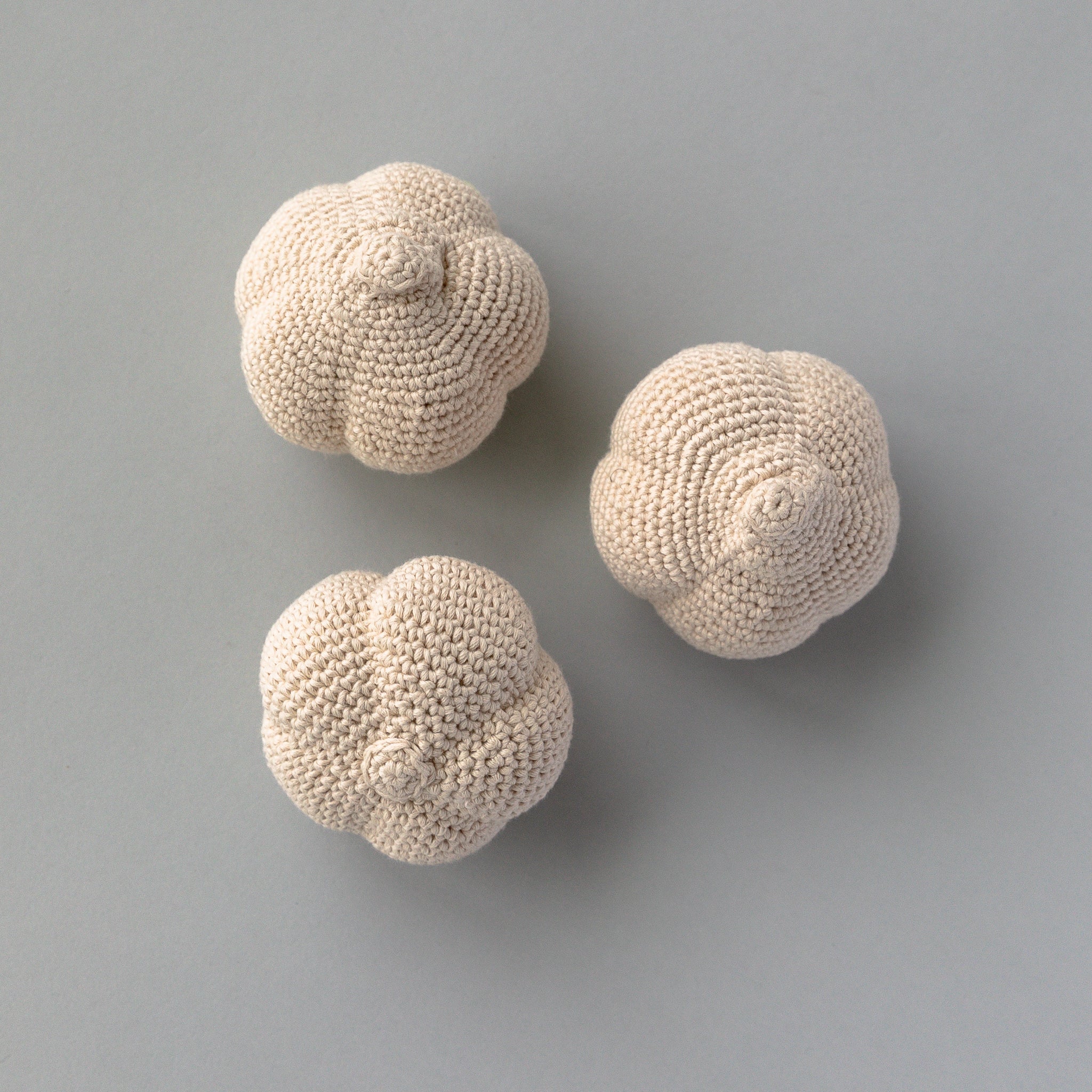 Handmade Garlic Rattle, Play Food