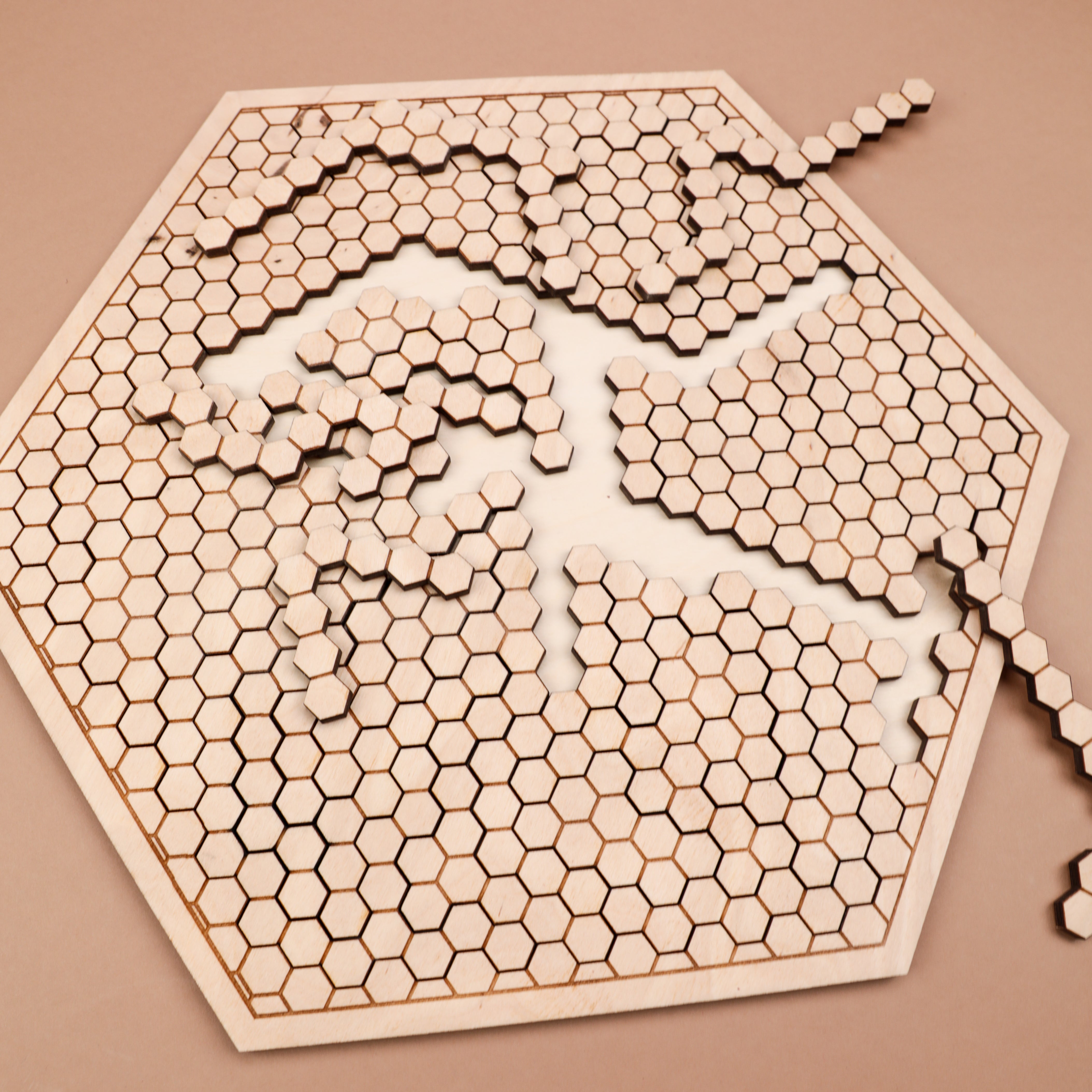 Honeycomb Brain Teaser Wooden Puzzle - 48pc