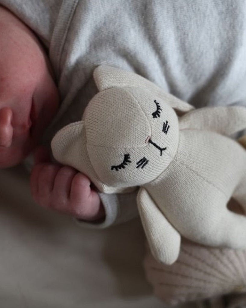 Mini Rabbit Rattle