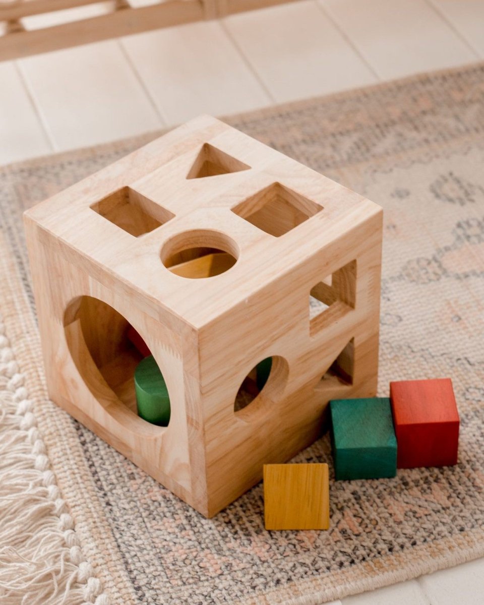 Montessori Shape Sorting Cube