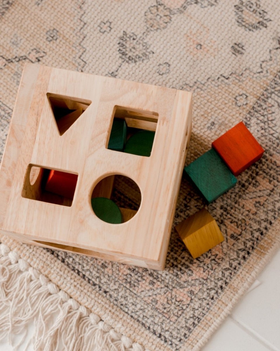 Montessori Shape Sorting Cube
