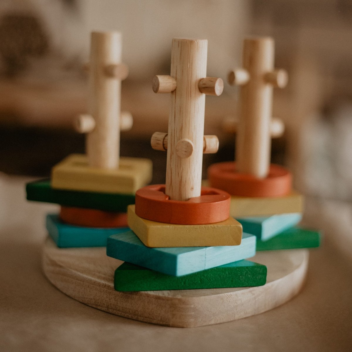 Montessori Twist and Sort Activity