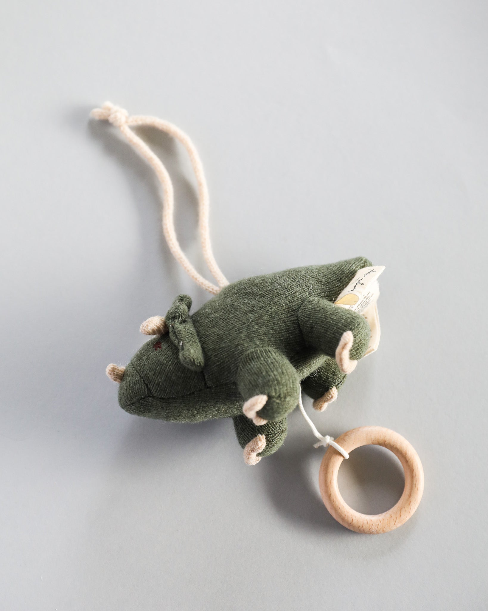 Music Activity Baby Toy - Triceratops