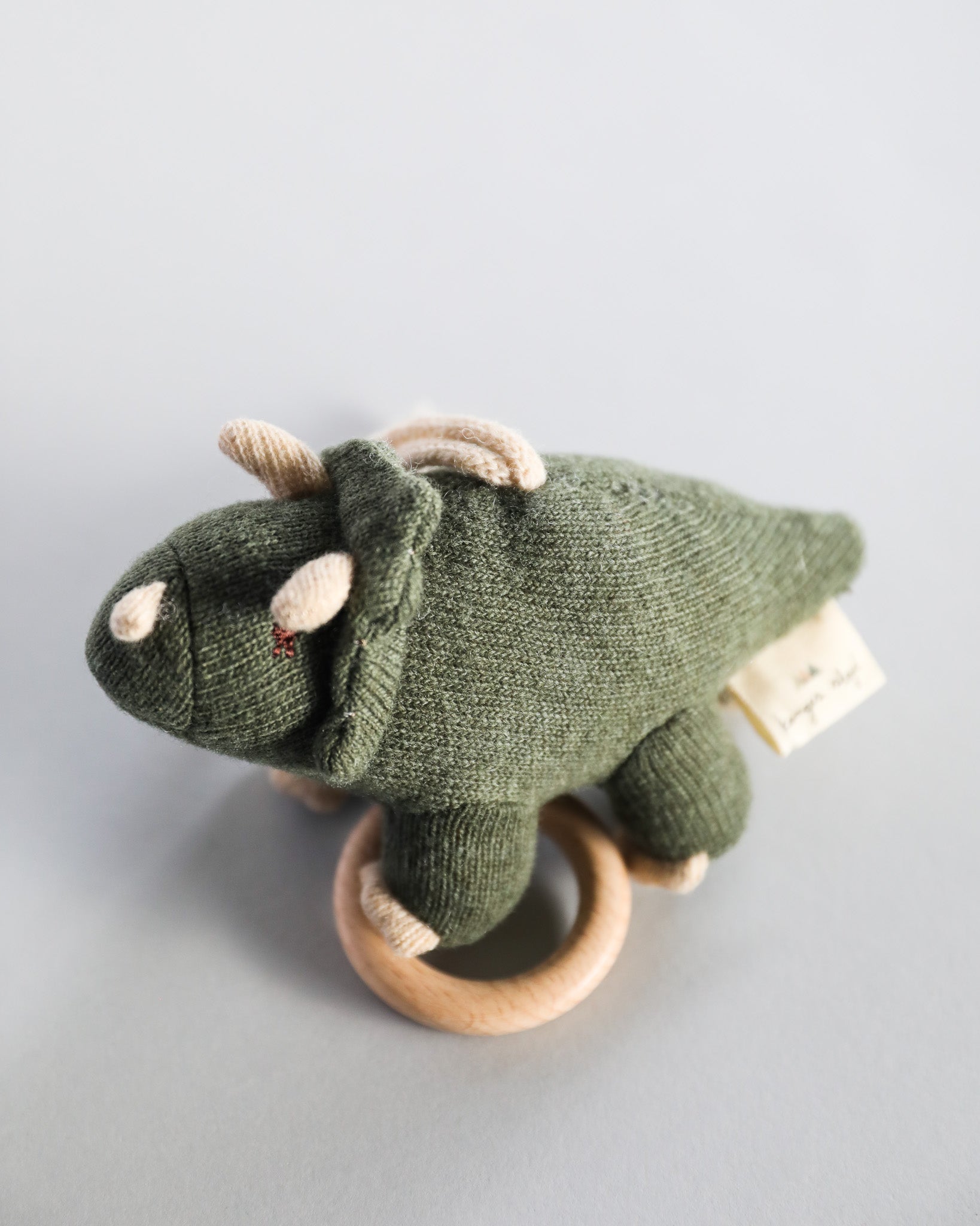 Music Activity Baby Toy - Triceratops
