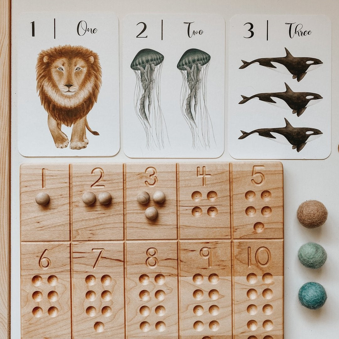 Nature's 123 Flashcards