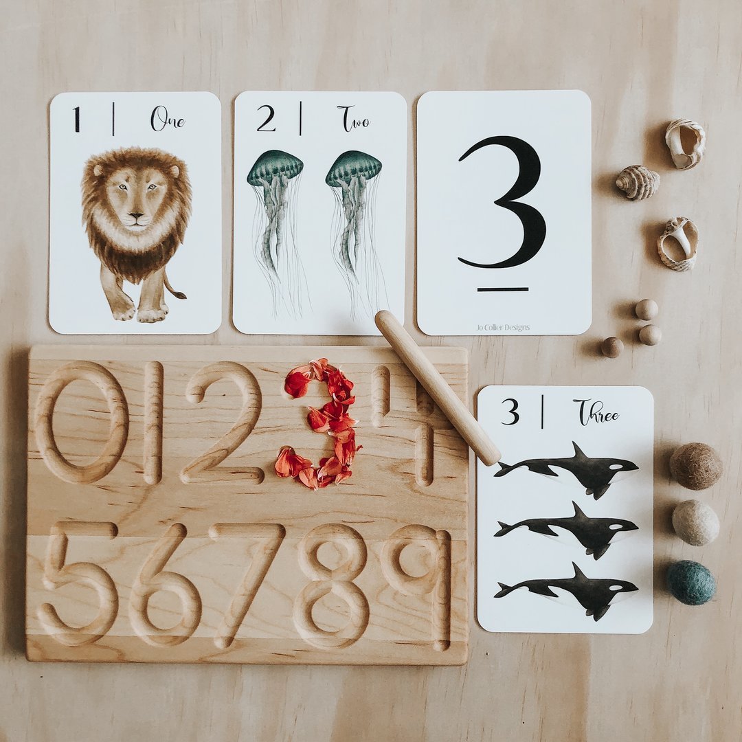 Nature's 123 Flashcards